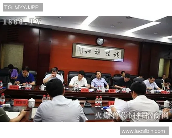 中国体育品牌崛起的背后：创新与市场竞争的双重驱动分析